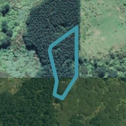 0 Rocky Cutting Road, Waitao, Tauranga