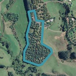 203A Woodland Road, Tahawai, Katikati