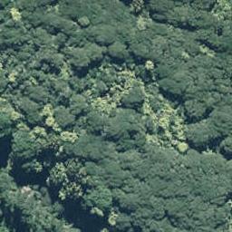 0 State Highway 35, Te Kaha, Te Kaha