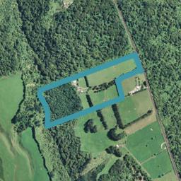 1440 Pyes Pa Road, Oropi, Tauranga
