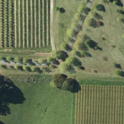 113 Marriages Road, Tasman