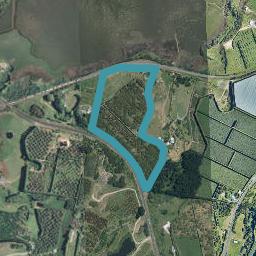 1572A State Highway 2, Whakamarama, Katikati