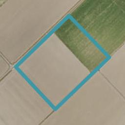 0 Lake Road, Patutahi, Gisborne
