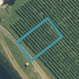 199 Hitchen Road, Pokeno