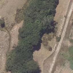 0 Hillgrove-Moeraki Rd, Moeraki, Moeraki