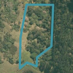 55 Carters West Road, Mangawhai