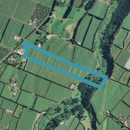 217 No 2 Road, Te Puke, Te Puke