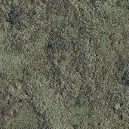 26 Gorge Road, OPONONI, KAIKOHE