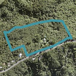 176 Piha Road, Piha, Piha