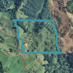 387 Rocky Cutting Road, Waitao, Tauranga