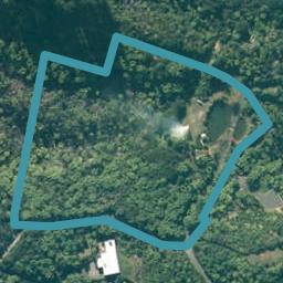 205 Pumpkin Hill Road, Pumpkin Hill