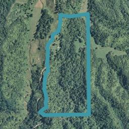 199 Taheke ( Block Access) Road, TOATOA, OPOTIKI