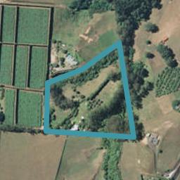 401 Youngson Road, Whakamarama, Tauranga