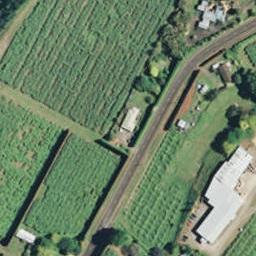 584 No 1 Road, Te Puke, Te Puke