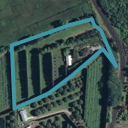 55A Steele Road, Athenree, Waihi Beach