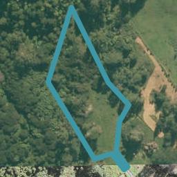 32 Dashper Drive, Warkworth, Warkworth