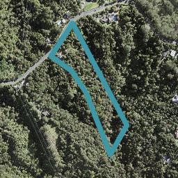 68 Albany Heights Road, Albany