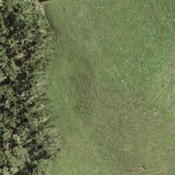 21 Pukewhau Road, Pukekohe, Pukekohe