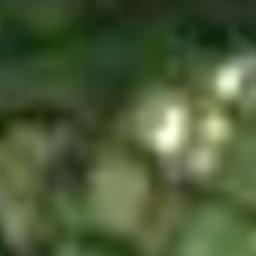 0 Waimate Road, KERIKERI, Kerikeri