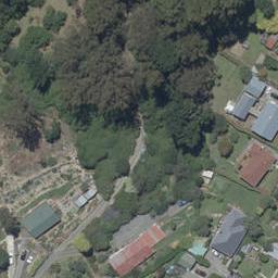 98 Hillary Street, Liberton, Dunedin