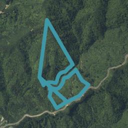 193 Whangapoua Sh25 Road, COROMANDEL, Coromandel