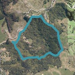 423 Wyllie Road, Warkworth, Warkworth