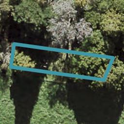 9 Wai Place, Westgate, Auckland