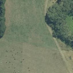 9104 State Highway 2, WAIHI, Waihi