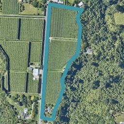 445 Joyce Road, Pyes Pa, Tauranga