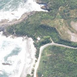 125 Beach Road, Charleston, Cape Foulwind