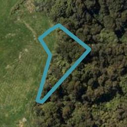 3 Maple Lane, Te Kamo, Whangārei