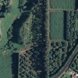 302 Athenree Road, Athenree, Katikati