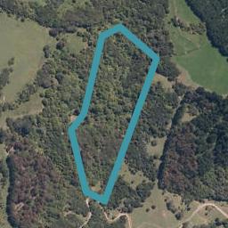 0 Birdsall Road, Whangateau, Whangateau