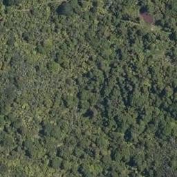 0 Paponga Road, Kohukohu, Kohukohu