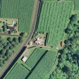 453 No 3 Road, Te Puke, Te Puke