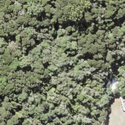 0 North Cove, Kawau Island, Kawau Island