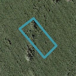 103 Mutetai Road, Clarks Beach, Clarks Beach