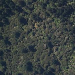 0 Paradise Bay, Pinohia, Havelock