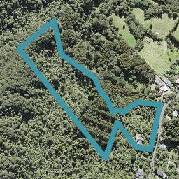 287 Forest Road, WAIATARUA, AUCKLAND