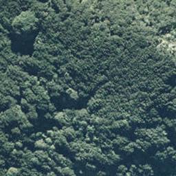 0 Copenhagen Road, Te Kaha, Te Kaha