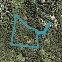 55A Tainui Road, Titirangi, Auckland