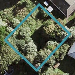 1158D New North Road, Mount Albert, Auckland