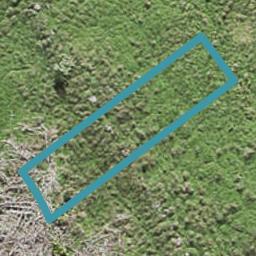 23 Porowha Road, Westgate, Auckland