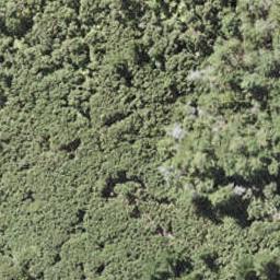 0 Bon Accord Harbour, Kawau Island, Kawau Island