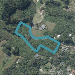 31 Tui Street, LEONARDS, DUNEDIN