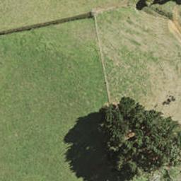 71 Pukewhau Road, Pukekohe, Pukekohe