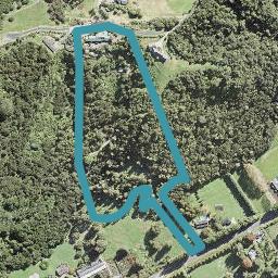 201 Three Oaks Drive, Albany