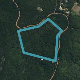 331 Cowes Bay Road, Waiheke Island, Waiheke Island