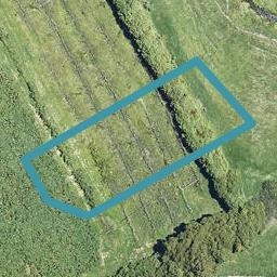 187 Adler Drive, Ohauiti, Tauranga