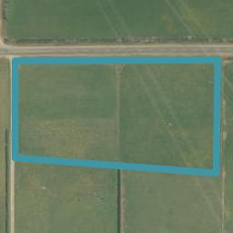 350 Flora, MAKAREWA, INVERCARGILL